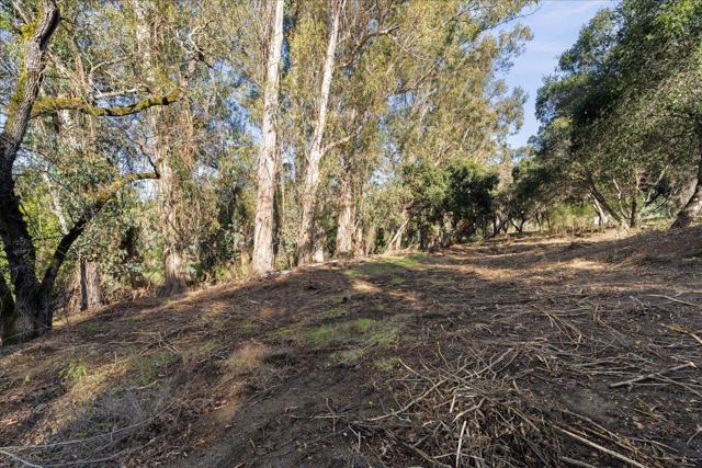 0 Old Santa Cruz Highway, Los Gatos CA: https://media.crmls.org/mediaz/ee8d5c08-ec22-4700-ae69-523cbd79bd84.jpg