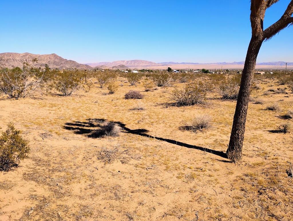 MLS #219138097DA image #7