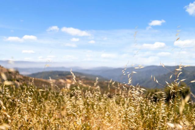 35005 Loma Chiquita Road, Los Gatos CA: https://media.crmls.org/mediaz/ee97dc86-883d-4896-b017-480bbc39cf61.jpg