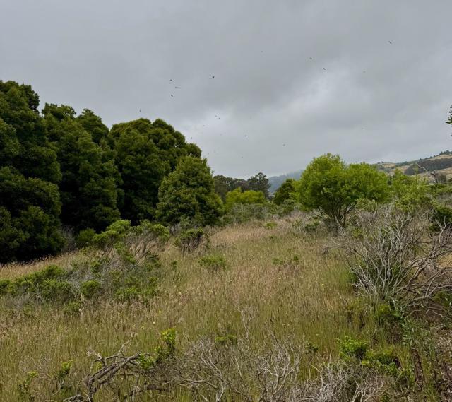 0 Bonita, Half Moon Bay CA: https://media.crmls.org/mediaz/ee98329b-6abe-4f3f-9617-fc55cd78bf3a.jpg