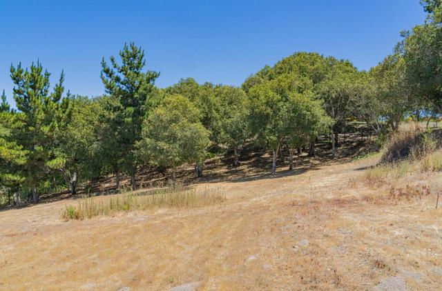 12167 Saddle Road, Carmel Valley CA: https://media.crmls.org/mediaz/ee9c3aa2-1888-4c10-9d93-88f943f2deab.jpg