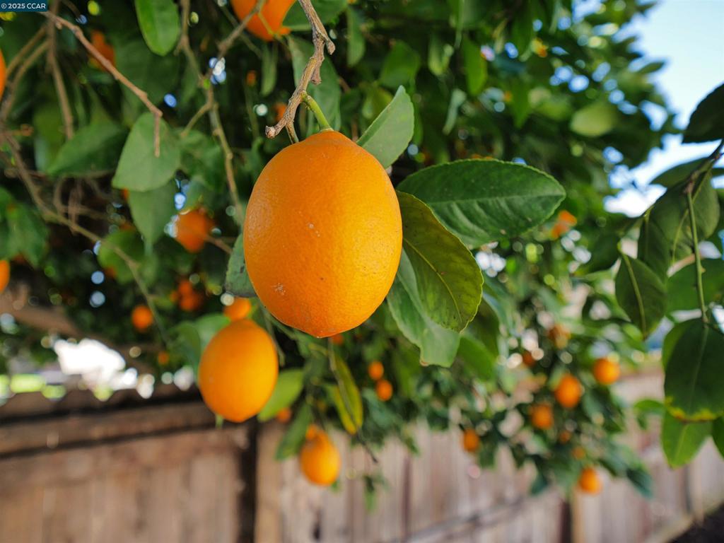 https://media.crmls.org/mediaz/ee9ed1a6-e6db-49f1-b1b6-cc7cac27b7db.jpg?preset=X-Large