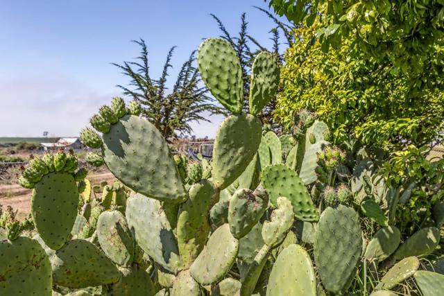 125 Springfield Road, Moss Landing CA: https://media.crmls.org/mediaz/ee9f2c04-e19a-4b5b-a57c-5a00269c0c89.jpg