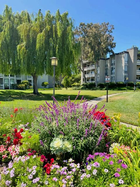 1081 Beach Park Boulevard, Foster City CA: https://media.crmls.org/mediaz/eea2f330-6da3-444f-946e-28b5c87c1209.jpg