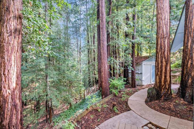 7200 Highway 17, Scotts Valley CA: https://media.crmls.org/mediaz/eeaab103-c3c3-4e20-85a3-8c4bf1c53bd4.jpg