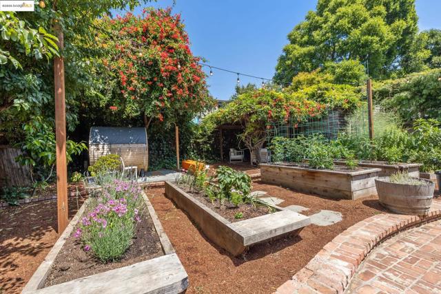 3019 Benvenue Ave, Berkeley CA: https://media.crmls.org/mediaz/eeab3b12-8e3f-47ef-96be-bb3f9acfa99d.jpg