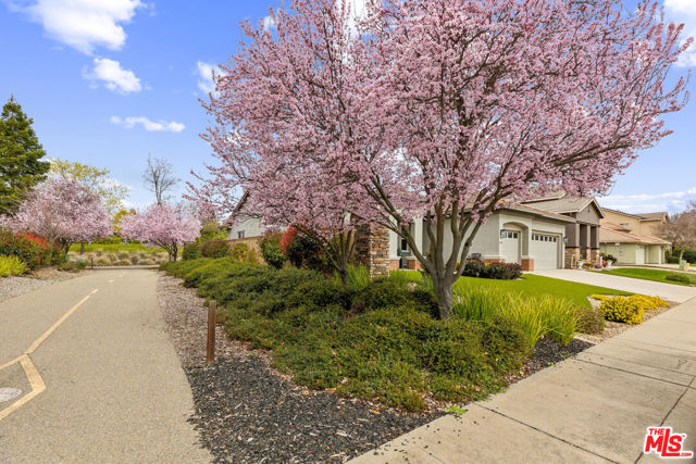 11051 Fiore Drive, Rancho Cordova CA: https://media.crmls.org/mediaz/eed44aeb-9c7f-4755-b8f5-ae196921f0ff.jpg