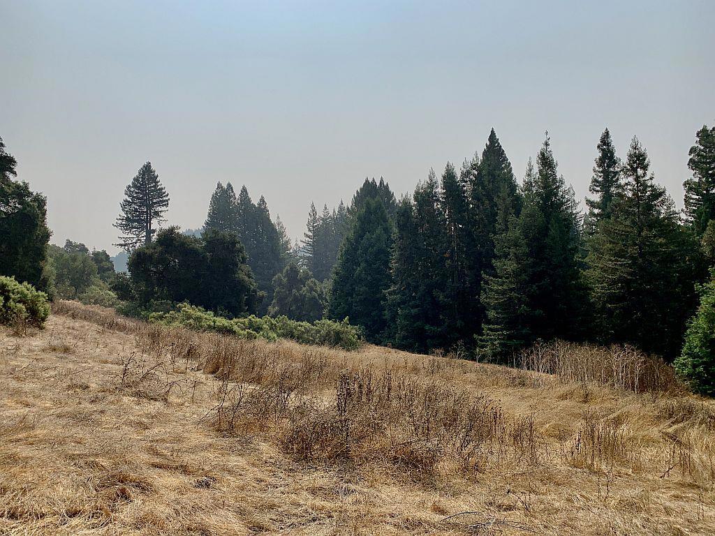 MLS #ML81810757 image #57