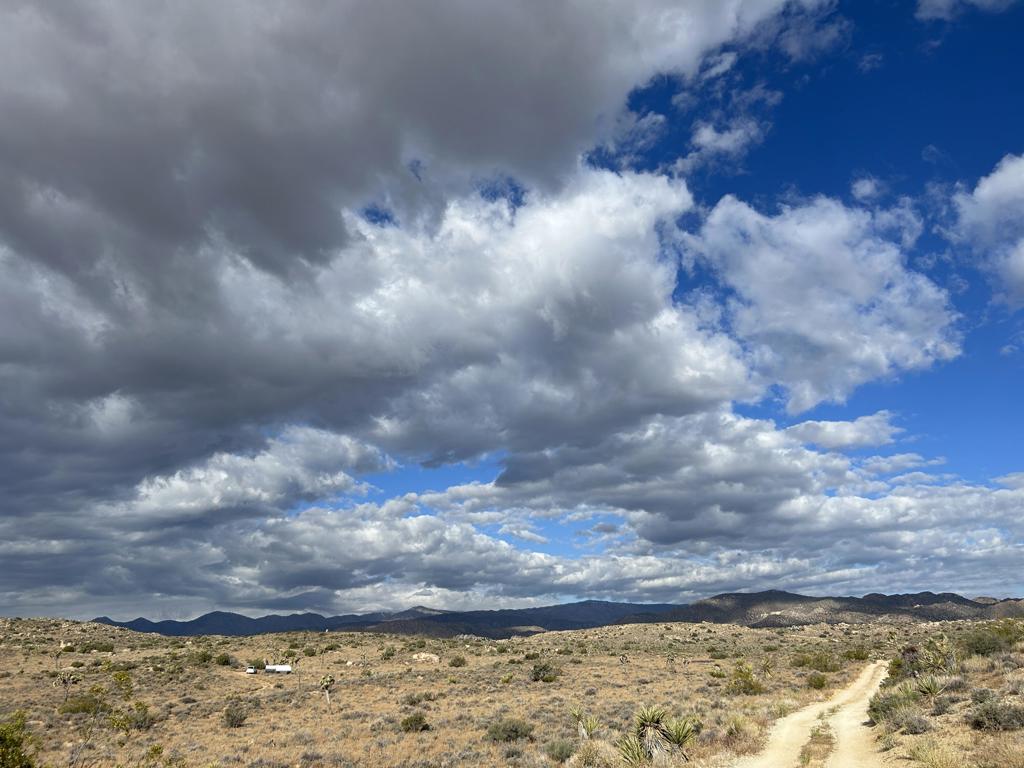 MLS #219137921DA image #7