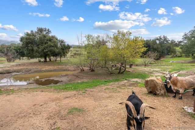 Image 47 of 73 For 25394 Mesa Grande Rd