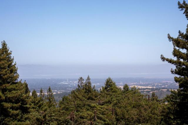 125 Grandview Drive, Woodside CA: https://media.crmls.org/mediaz/eef19e61-229f-4375-a341-4cf87c2878b1.jpg