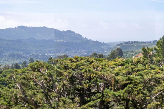 25625 Tierra Grande Drive, Carmel CA: https://media.crmls.org/mediaz/eef5d120-c8e8-488b-b2c6-e7497d12d580.jpg