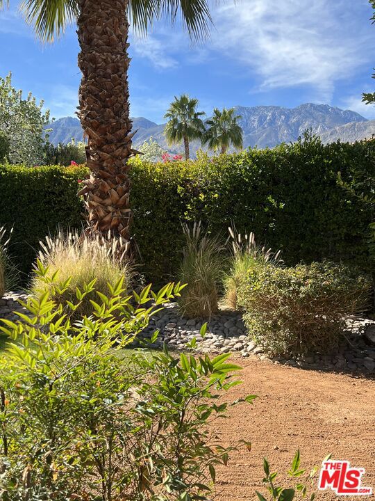 2795 Alondra Way, Palm Springs, California 92264, 3 Bedrooms Bedrooms, ,2 BathroomsBathrooms,Single Family Residence,For Sale,Alondra,24399605