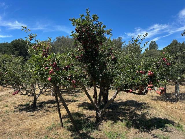 0 Sans Road, Corralitos CA: https://media.crmls.org/mediaz/ef097f4d-95a8-4779-9ba5-7cf391a9a7f4.jpg