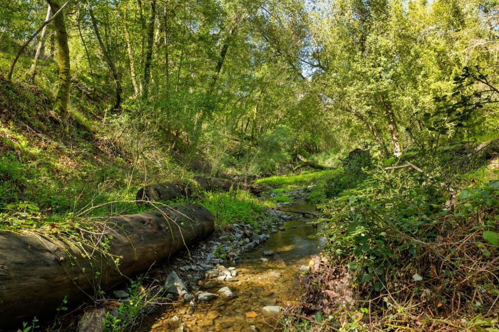 https://media.crmls.org/mediaz/ef0b848d-5774-490a-bda7-463fff1b9c34.jpg?preset=X-Large
