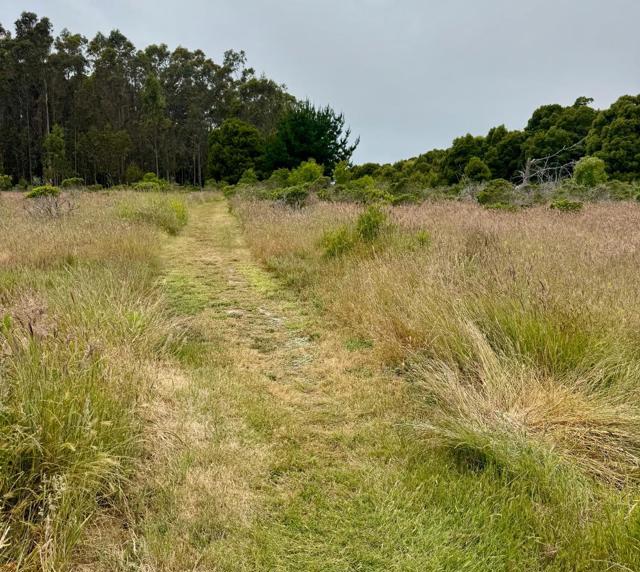 0 Bonita, Half Moon Bay CA: https://media.crmls.org/mediaz/ef13ad1d-8f6e-4dd0-86f3-83979f8e51a4.jpg