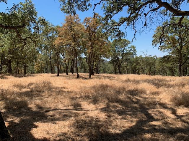 0 BRIDLE TRAIL LANE,  CA: https://media.crmls.org/mediaz/ef13b976-50ef-4571-ad51-ea4bb09a9f32.jpg