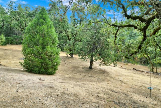 17533 Humbug Creek Road, Glencoe CA: https://media.crmls.org/mediaz/ef164b7e-e4f9-447c-bd2b-efd678892a5f.jpg