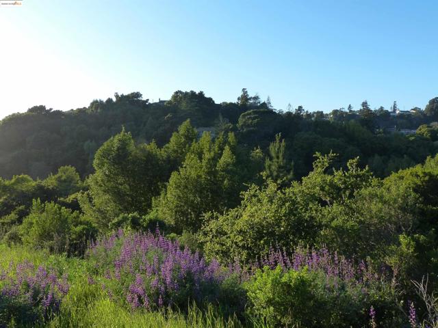 11275 Kerrigan Dr, Oakland CA: https://media.crmls.org/mediaz/ef3d1063-023a-4906-8342-85937d8f5ccb.jpg