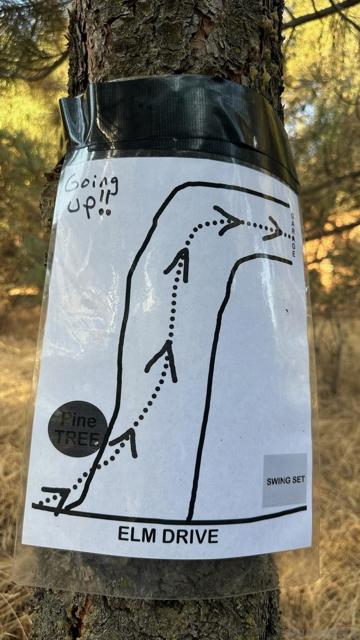 9502 Elm Drive, Descanso CA: https://media.crmls.org/mediaz/ef499c8a-e13b-4b87-add4-9a9ca61dd585.jpg