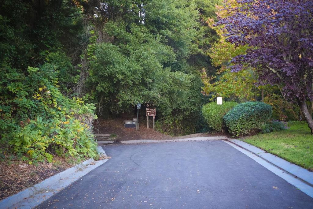 MLS #ML82026980 image #37