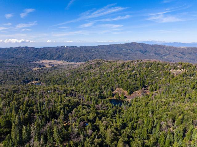 22228 Crestline Road, Palomar Mountain CA: https://media.crmls.org/mediaz/ef791973-56b2-45e9-8036-3b66f6977e34.jpg