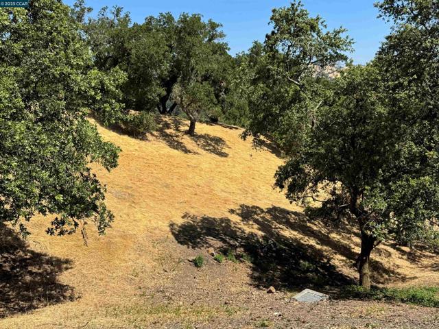 18 Diablo Oaks Way, Lafayette CA: https://media.crmls.org/mediaz/ef80bf0b-a2ef-4daf-bb81-eee724d6dffc.jpg