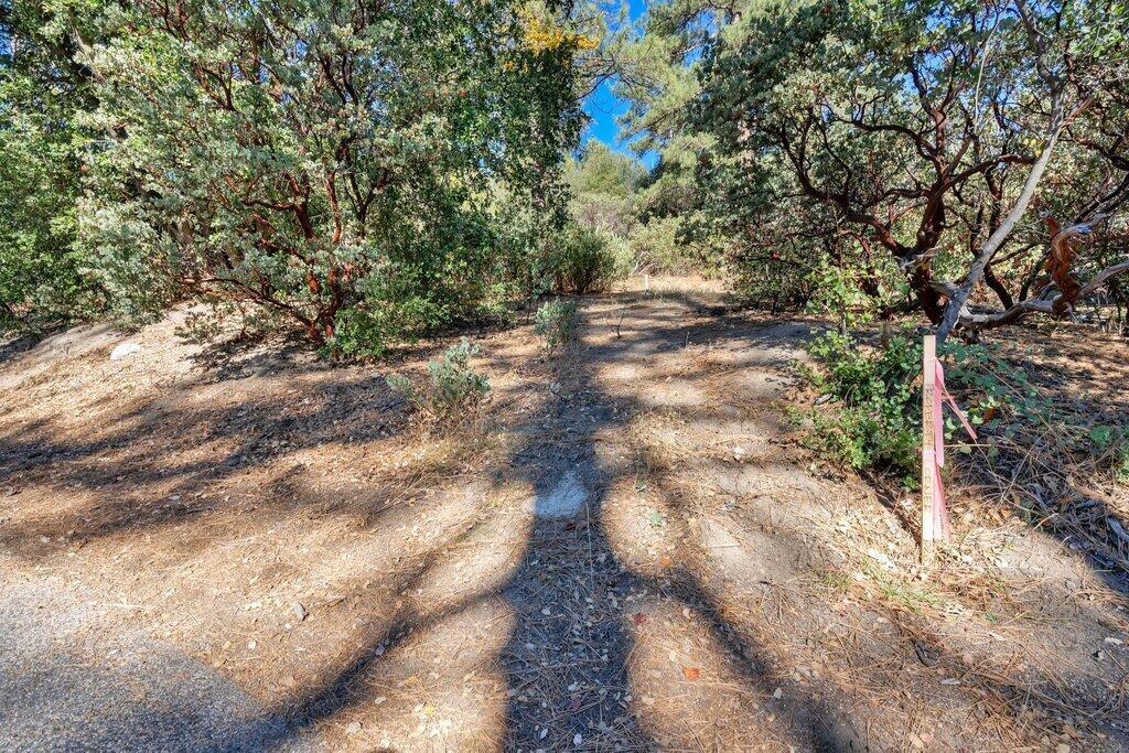 0 Deer Foot Lane, Idyllwild, CA 92549