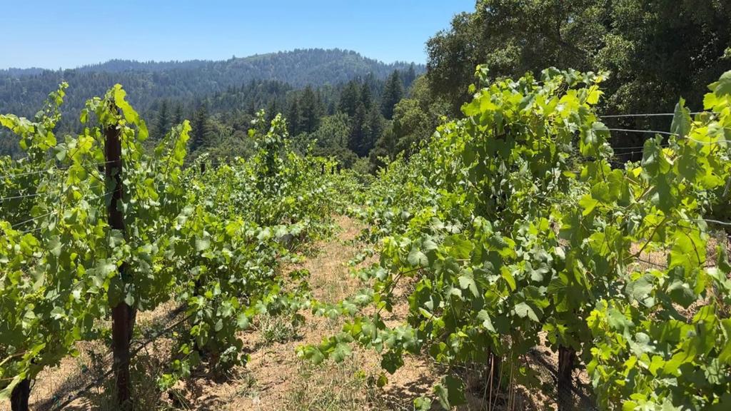 MLS #ML82023193 image #18