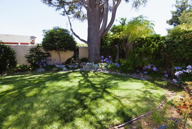 4456 Waimea Court, San Jose CA: https://media.crmls.org/mediaz/efa11ae8-fe9d-4116-b400-a57a04a32e59.jpg