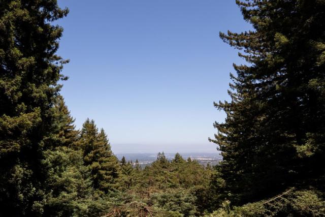 125 Grandview Drive, Woodside CA: https://media.crmls.org/mediaz/efa2b6cd-f6fc-4617-8fb0-fa1935737dfd.jpg