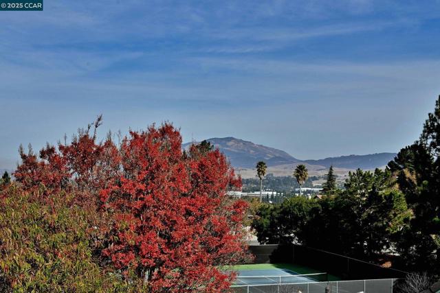 84 Tumbleweed Ct, San Ramon CA: https://media.crmls.org/mediaz/efa6e977-a909-4374-aba4-fce3cbd46e75.jpg