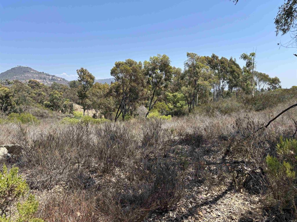 Lone Hill Lane - photo 2