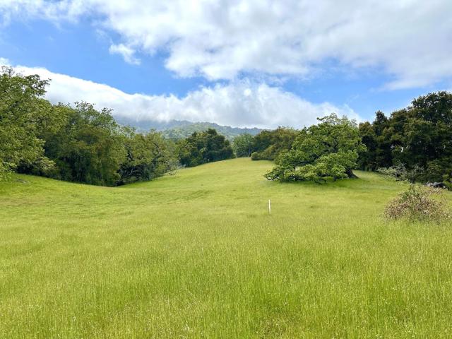 29 Arroyo Sequoia, Carmel CA: https://media.crmls.org/mediaz/efbcca10-d6cc-4ed1-bf4d-a5b8094baca5.jpg