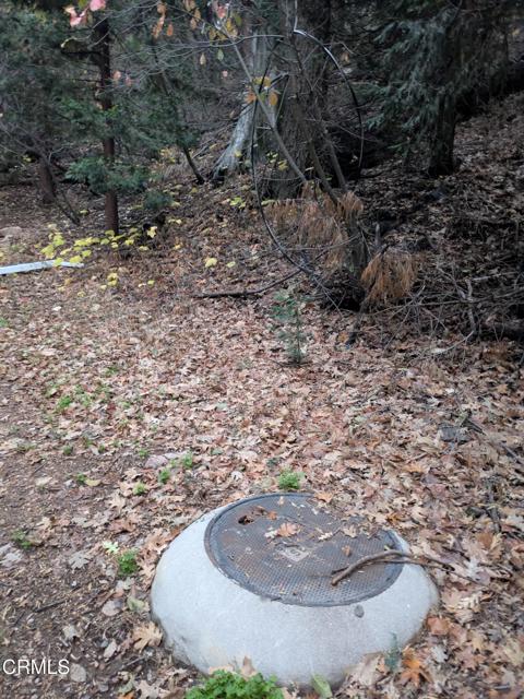 Detail Gallery Image 9 of 14 For 0 Fleming Creek, Lake Arrowhead,  CA 92352 - – Beds | – Baths