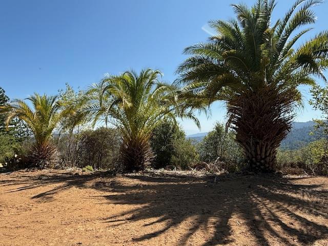 7175 Redwood Retreat Road, Gilroy CA: https://media.crmls.org/mediaz/efcd55f3-b945-40a6-b170-0a9a4ff8599e.jpg