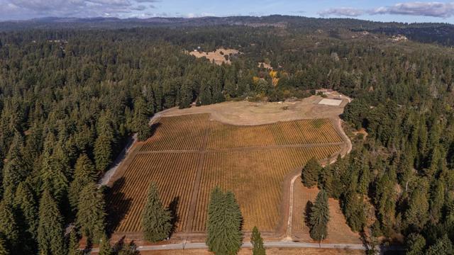 3980 Bonny Doon Road, Santa Cruz CA: https://media.crmls.org/mediaz/efd86388-551c-446b-a992-fe0d1701fb92.jpg