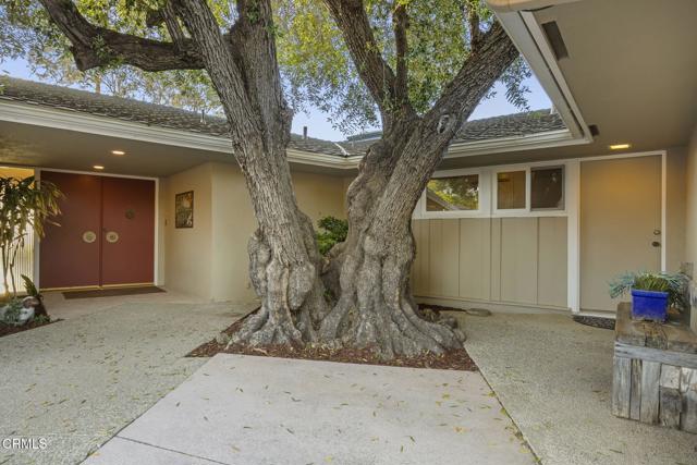 635 Via Del Cerro, Camarillo CA: https://media.crmls.org/mediaz/efdf4c7d-d071-4764-929d-a1be586d871f.jpg