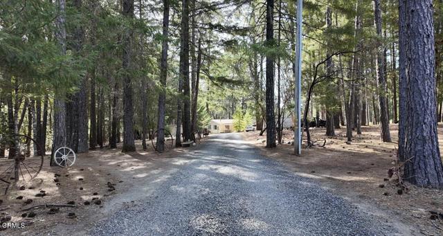 1605 Fitch Road, Laytonville CA: https://media.crmls.org/mediaz/efe58123-cedd-403e-b976-0c18aac6a8c5.jpg