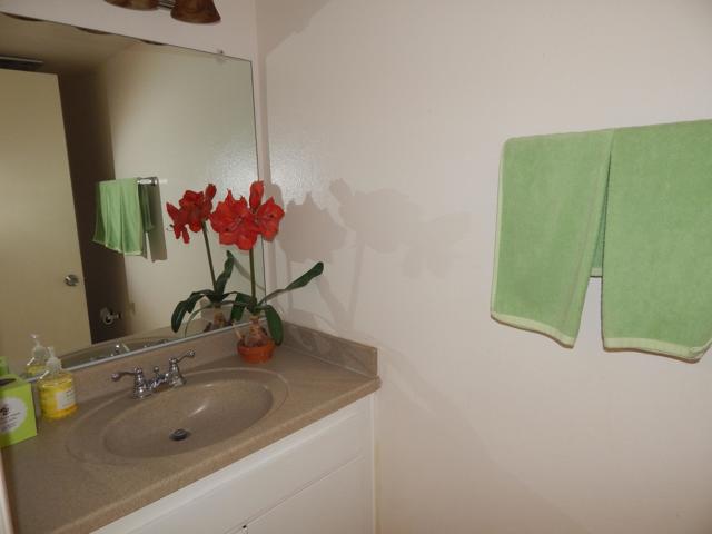 2010 Lawrence Crossley Road #1, Palm Springs, CA 92264