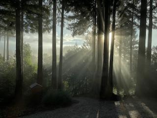 https://media.crmls.org/mediaz/eff0506c-1e4a-4c15-bc97-2a023728d736.jpg?preset=X-Large