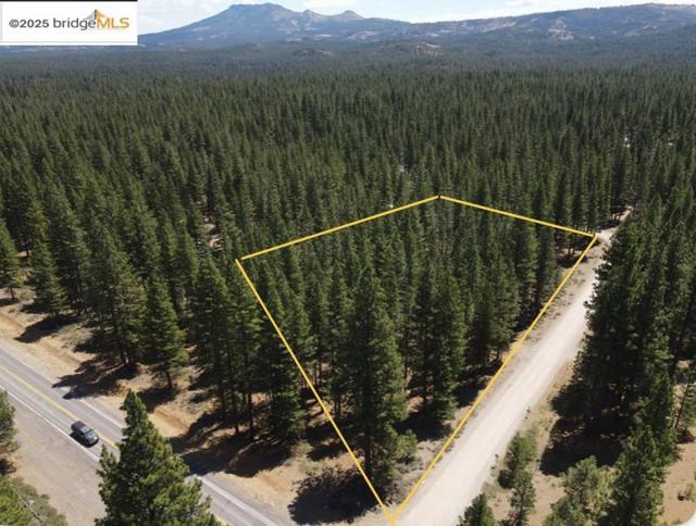 45 Claireville RD, Portola CA: https://media.crmls.org/mediaz/eff21302-50c6-48c7-84ae-894af75cda5b.jpg