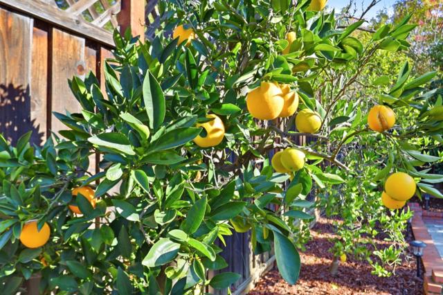 5948 Garlough Drive, San Jose CA: https://media.crmls.org/mediaz/effe2c86-44fa-4baa-af10-e6585846f777.jpg