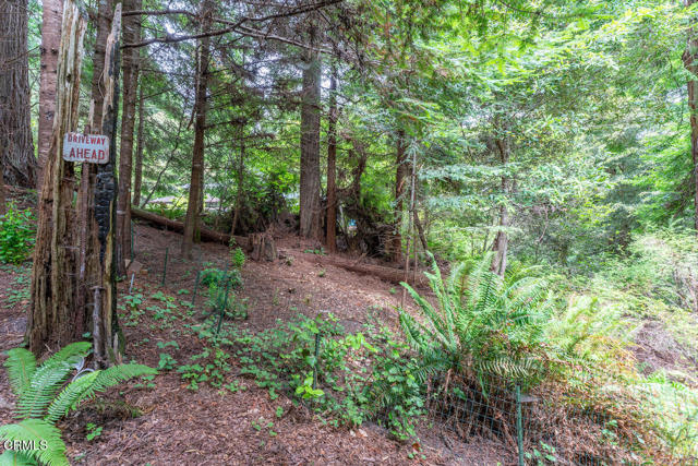 32200 Westwood Drive, Fort Bragg CA: https://media.crmls.org/mediaz/efff78e5-4c2f-483d-b8d0-7f6bfa23f1ab.jpg