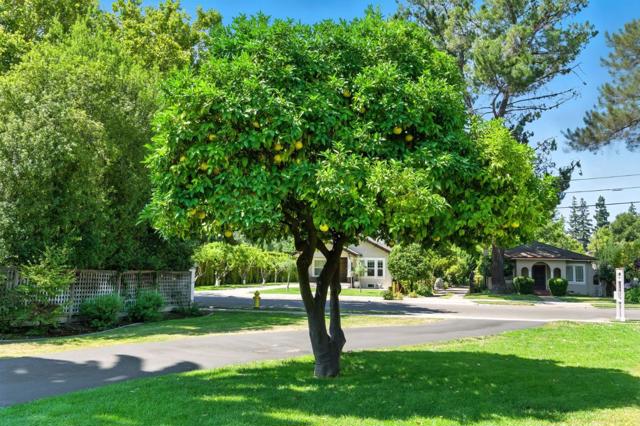 1486 Newport Avenue, San Jose CA: https://media.crmls.org/mediaz/f00c9226-efb0-4945-8379-f2cf52f3565c.jpg