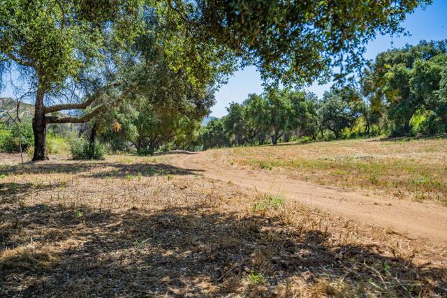 0 Tenaja, Fallbrook, California 92028, ,Residential Land,For Sale,Tenaja,NDP2405556