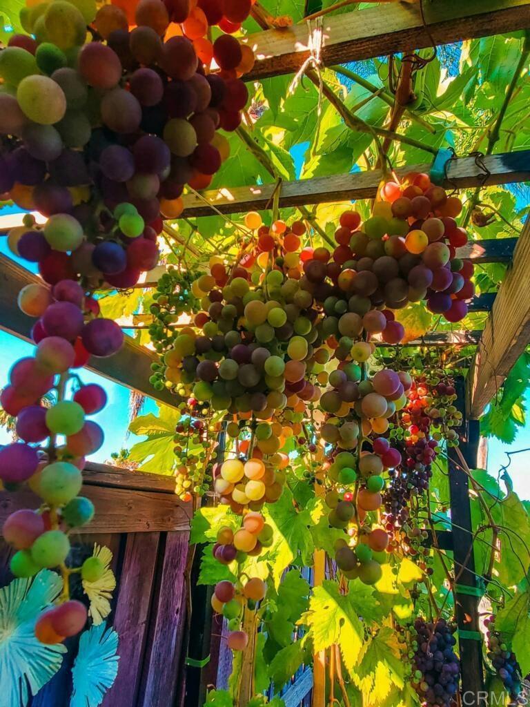 https://media.crmls.org/mediaz/f02300f4-318b-47c9-a6bb-6cc0688e6274.jpg?preset=X-Large