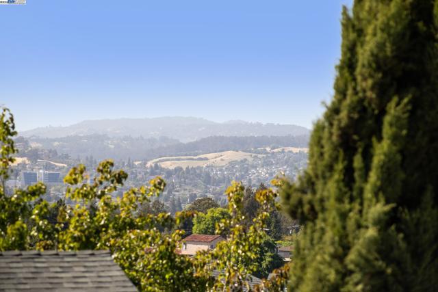 Image 11 of 60 For 25321 Morse Ct