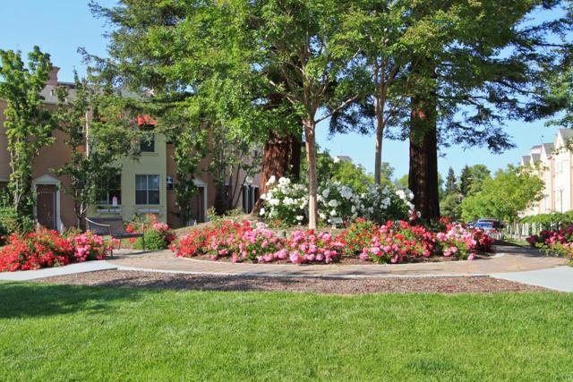 121 Pacchetti Way, Mountain View CA: https://media.crmls.org/mediaz/f041b260-ce17-4d2d-a986-154c963fa3d0.jpg