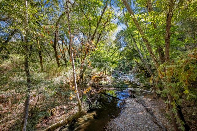 6787 Croy Road, Morgan Hill CA: https://media.crmls.org/mediaz/f041cc71-72f0-4eb2-a7e0-324b5aa1ec05.jpg